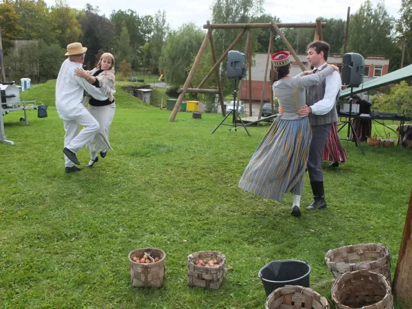 MIĶEĻDIENAS TIRGUS